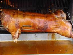 Resize of DSC05786.JPG